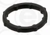 Ущільнення масляного насосу CHRYSLER NEON II, PT CRUISER FIAT 500X, GRANDE PUNTO, LINEA, TIPO JEEP RENEGADE MINI (R50, R53), (R52) 1.6 06.01- ELRING 573060 (фото 1)