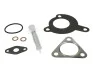 Монтажний комплект турбіни OPEL Astra G/Omega B/Vectra B \'\'2.2DTI \'\'00-08 715.540