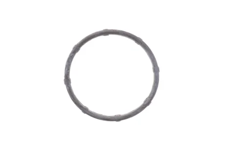 Фото 1 - прокладка термостату ELRING 726.750 Прокладка термостату ELRING 726.750 (фото 1)