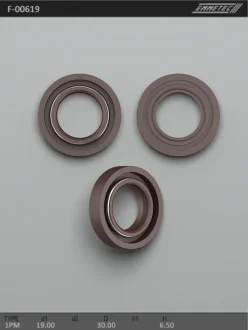 Сальник 19,00/30,00*6,50 тип креслення 1PM EMMETEC F-00619 (фото 1)