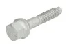 Елемент форсунки Common Rail ENGITECH ENT250253 (фото 3)