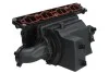 Впускний колектор OPEL ASTRA H, ASTRA H GTC, ZAFIRA B 1.6/1.6LPG 12.06-04.15 ENGITECH ENT320157 (фото 2)