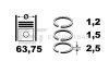 Комплект колец R1000625
