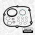 INNE- TIMING CHAIN KIT SZT ET ENGINETEAM RS0043VR1 (фото 9)