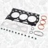 Комплект прокладок (верхній) Skoda Fabia/Rapid 1.2 03- TS0059