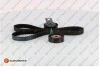 Комплект ГРМ Citroen Berlingo/Jumpy 1.6HDI 10- (z=141)