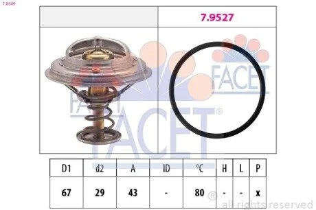 Термостат системи охолодження FACET 78549