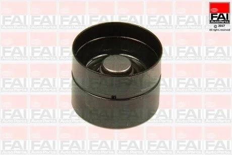 Гiдрокомпенсатор (к-т 8шт.) VW Jetta/Golf 1.2TDI/1.4TDI/1.9TDI 03- FAI BFS101