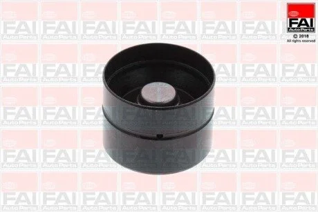 Гiдрокомпенсатор (1шт.) VW Jetta/Golf 1.2TDI/1.4TDI/1.9TDI 03- FAI BFS101S