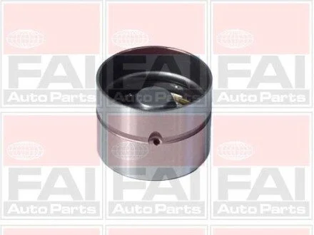 Гiдрокомпенсатор VW Golf/Jetta 05-/Audi A3 03- FAI BFS66S