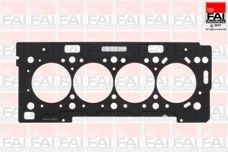 CITROEN Прокладка головки блока C2/C3/C4/Xara/Berlingo 1.6 Peugeot 206/207/307 1.6 00- FAI HG1187