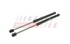 ГАЗОВЫЙ АМОРТИЗАТОР HYUNDAI TUCSON I 04> БАГАЖНИКА КПЛ. Л+П 382MM / 140N FAST FT00187K (фото 2)