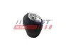 РУЧКА ПЕРЕКЛЮЧЕНИЯ КПП RENAULT LAGUNA II FT09038