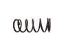 Пружина передня   FIAT DUCATO (230L) 94-02,DUCATO (230) 94-02,Ducato 94-02 FT12269