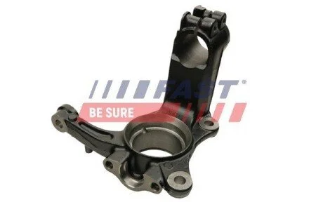 Фото 1 - цапфа vw transporter t5 03> перед лв 2.0 tsi 12> FAST FT13564 ЦАПФА VW TRANSPORTER T5 03> ПЕРЕД ЛВ 2.0 TSI 12> FAST FT13564 (фото 1)