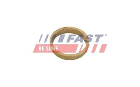 Шайба амортизатора переднього Citroen Jumper/Fiat Ducato/Peugeot Boxer (06-) FAST FT14401