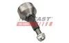 ШРКШ FORD TRANSIT 13&gt; ЗОВН 2.0 EcoBlue FAST FT25540 (фото 3)