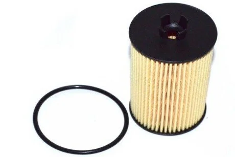 FILTR OL ALFA 159/FIAT CROMA 1.8 16V 05> FAST FT38066