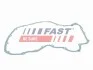 ПРОКЛАДКА МЕХАНІЗМУ ГРМ FORD TRANSIT 06> 3.2 TDCi 08> FAST FT41602 (фото 1)