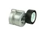 НАТЯЖИТЕЛЬ РЕМНЯ MICRO-V FIAT BRAVO 07> КПЛ 1.6 MJTD / 2.0 JTD FT44633