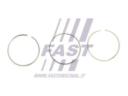 Автозапчасть FAST FT473930