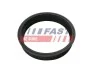 ПРОКЛАДКА ТОПЛИВНОГО НАСОСА FIAT DUCATO 02> FT48501