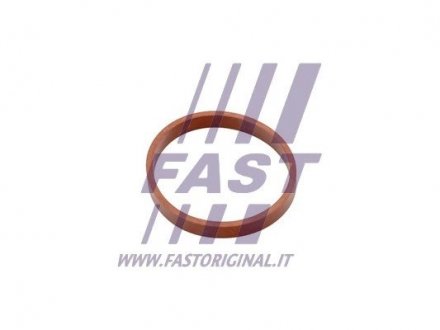 Прокладка IN кол. Citroen C3/C4 Aircross/Picasso 1.6HDI 09- FAST FT49418
