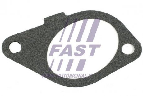 Прокладка колл. IN Citroen Berlingo/Jumpy/Expert 1.9D FAST FT49433 (фото 1)