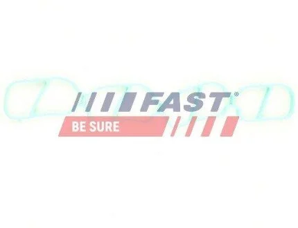 ПРОКЛАДКА КОЛЕКТОРА FIAT DOBLO 00> ВПУСКНИЙ 1.3JTD FAST FT49436