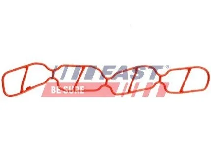 ПРОКЛАДКА КОЛЕКТОРА FIAT DOBLO 00> ВПУСКНИЙ 1.3JTD FAST FT49439