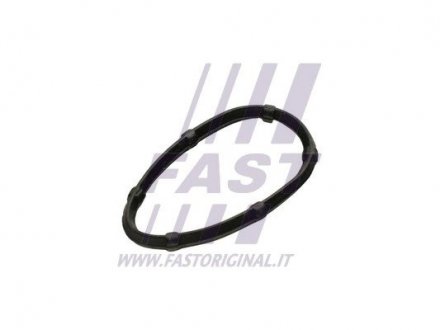 Прокладка IN колектора Nissan Primastar 2.0cDi 01-/ Renault (K4M, F4P, F4R, K4J) 1.4 16V -03 FAST FT49457 (фото 1)