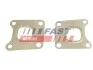 ПРОКЛАДКА КОЛЕКТОРА FORD TRANSIT CONNECT 13> ВИПУСК 1.0 ECOBOOST FT49471