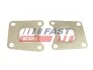 ПРОКЛАДКА КОЛЕКТОРА FORD TRANSIT CONNECT 13&gt; ВИПУСК 1.0 ECOBOOST FAST FT49471 (фото 2)