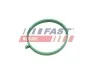 ПРОКЛАДКА КОЛЕКТОРА FIAT DOBLO 09> ВПУСКНИЙ 1.4 Flex 14> FAST FT49472 (фото 1)