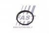 Прокладка вакуумного насоса Fiat Ducato/ Peugeot Boxer/Ford Transit 2.2HDi/TDCi 06- FAST FT49853 (фото 1)