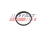 Прокладка Вакуумного Насосу Ford Transit 13 2.2Tdci FT49853  FT49853