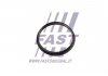 Прокладка вакуумного насоса Fiat Ducato/ Peugeot Boxer/Ford Transit 2.2HDi/TDCi 06- FAST FT49853 (фото 2)