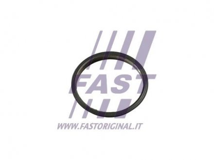 Прокладка вакуумного насоса Fiat Ducato/ Peugeot Boxer/Ford Transit 2.2HDi/TDCi 06- FAST FT49853 (фото 1)