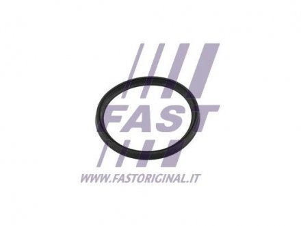 Ущільнення двигуна FAST FT49854 (фото 1)