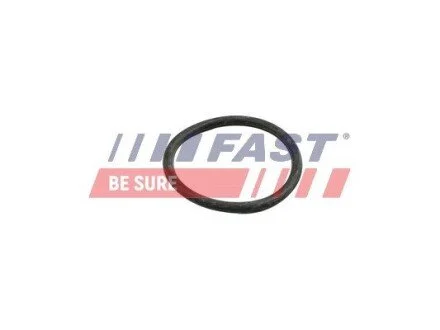 УПЛОТНИТЕЛЬНОЕ КОЛЬЦО MERCEDES SPRINTER 06&gt; 906 РАДИАТОР 39.3MM FAST FT49918 (фото 1)