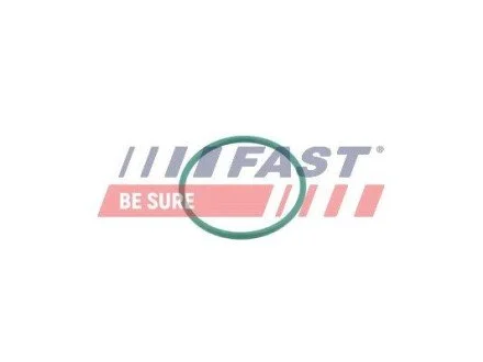 УЩІЛЬНЮЮЧЕ КІЛЬЦЕ CITROEN JUMPY 07> ТУРБІНИ 1.6 HDI 16V FAST FT49921 (фото 1)