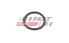 УЩІЛЬНЮЮЧЕ КІЛЬЦЕ CITROEN JUMPER 06> НАСОС РІДИНИ ОХОЛОДЖЕННЯ 2.2 HDI FAST FT49934 (фото 2)