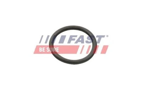 УЩІЛЬНЮЮЧЕ КІЛЬЦЕ CITROEN JUMPER 06> НАСОС РІДИНИ ОХОЛОДЖЕННЯ 2.2 HDI FAST FT49934 (фото 1)
