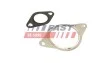 ПРОКЛАДКА КЛАПАНУ EGR FIAT SCUDO 07> КОМПЛЕКТ 2.0 JTD FT50610