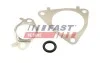 ПРОКЛАДКА КЛАПАНУ EGR FIAT DUCATO 06> КОМПЛЕКТ 3.0 JTD 150 10> FT50617