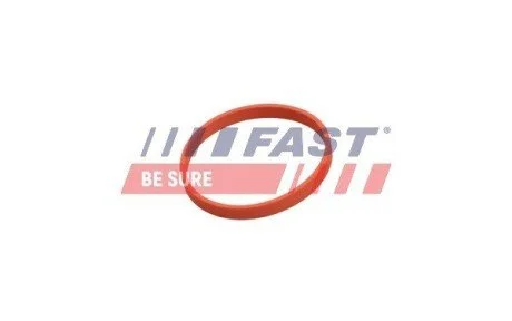 ПРОКЛАДКА КЛАПАНУ EGR RENAULT KANGOO II 08> ПАТРУБОК EGR 1.5 DCI FAST FT50628