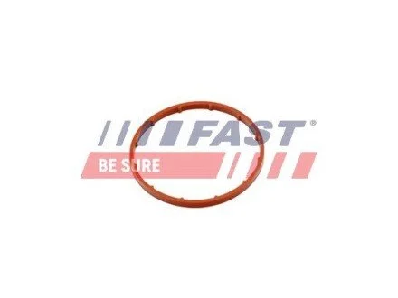 Прокладка вакуум. насос (вел.) CITROËN BERLINGO 1.6HDi 08- FORD TRANSIT CONNECT 1.5/1.6TDCi 13- PEUGEOT RIFTER 1.6HDi 18- FAST FT50701