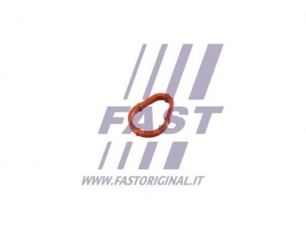 Прокладка вакуумного насоса Citroen Nemo/Fiat Ducato 1.4/2.2HDI FAST FT50702 (фото 1)