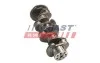 Коленвал Fiat Ducato/Citroen Jumper/Peugeot Boxer (06-)(14-) FAST FT51702 (фото 2)