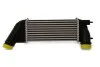 Інтеркулер PSA Expert/Jumpy/Scudo 2.0Hdi 07- FT55515